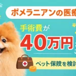 ポメラニアン ペット保険