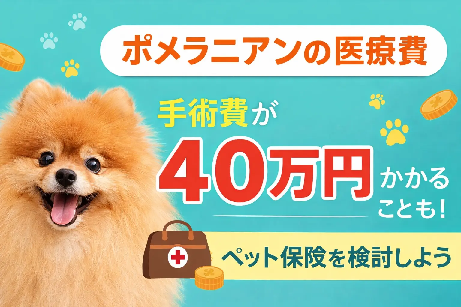 ポメラニアン　ペット保険