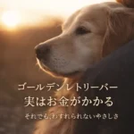 ゴールデンレトリーバー ペット保険