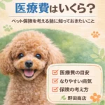 トイプードル ペット保険2