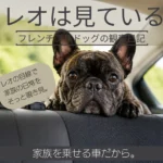 レオは見ている