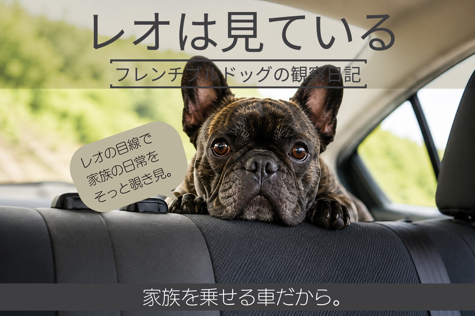 レオは見ている