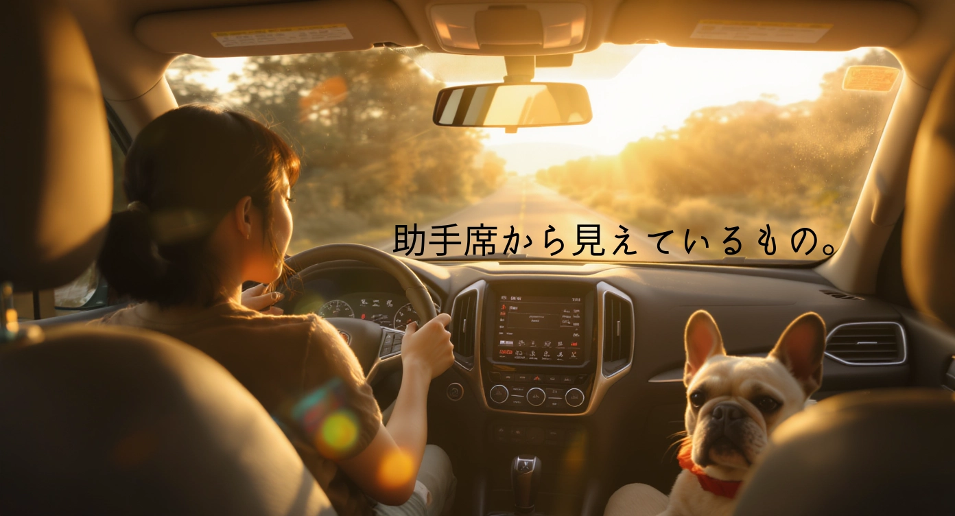 助手席の話